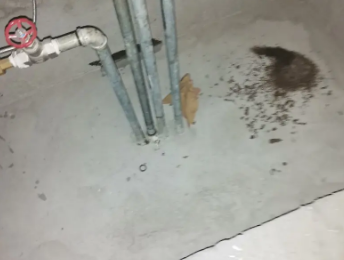 曲靖卫生间测漏水价格明细